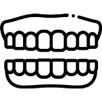 Зубной ряд